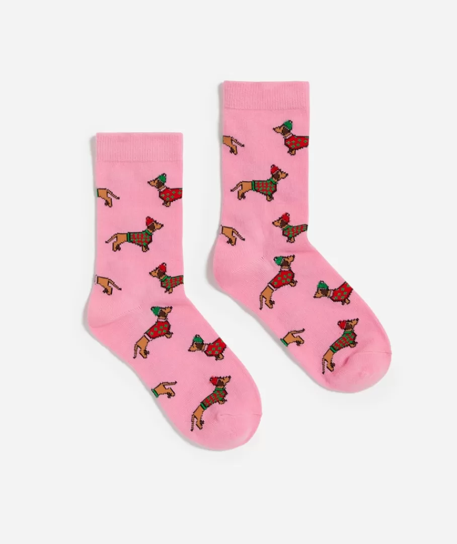 Sportsgirl Socks<FESTIVE SAUSAGE DOG CREW SOCK