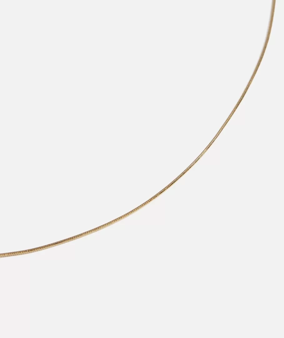 Sportsgirl Jewellery | Plated Jewellery< PLATED FINE BOX CHAIN NECKLACE