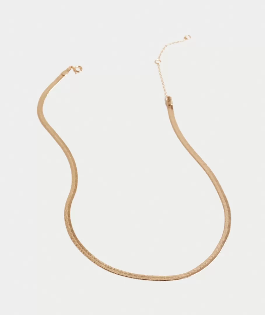 Sportsgirl Necklaces | Jewellery< PLATED SNAKE CHAIN NECKLACE