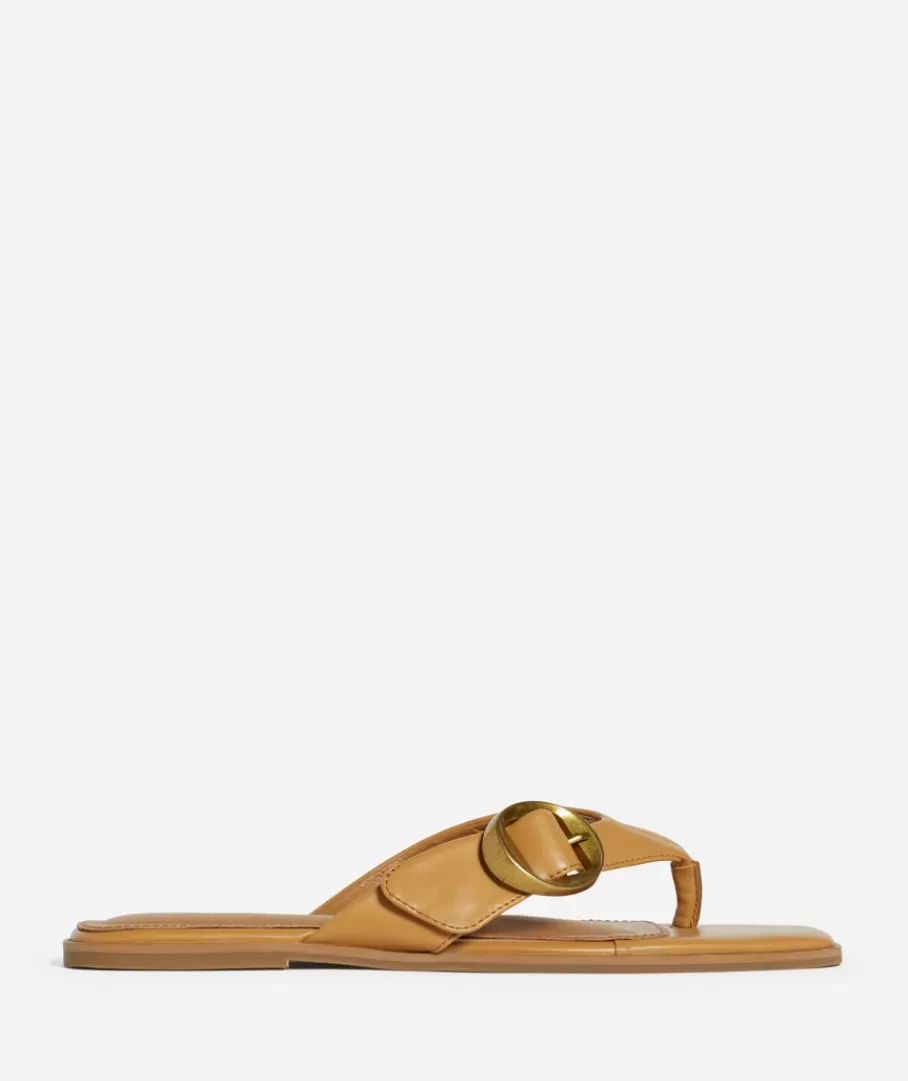 Sportsgirl Shoes | Slides & Sandals<LAURA THONG FLAT SANDAL