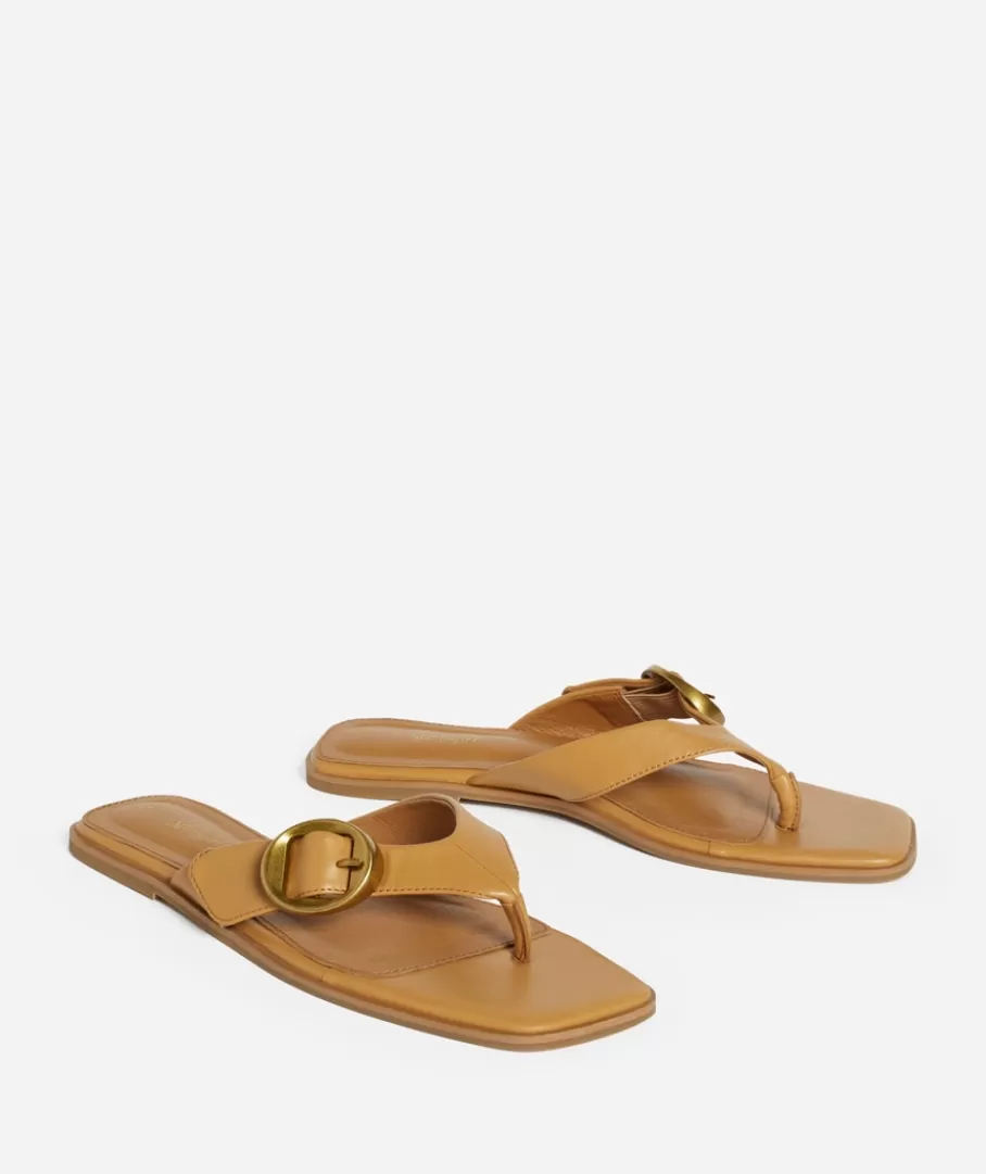 Sportsgirl Shoes | Slides & Sandals<LAURA THONG FLAT SANDAL