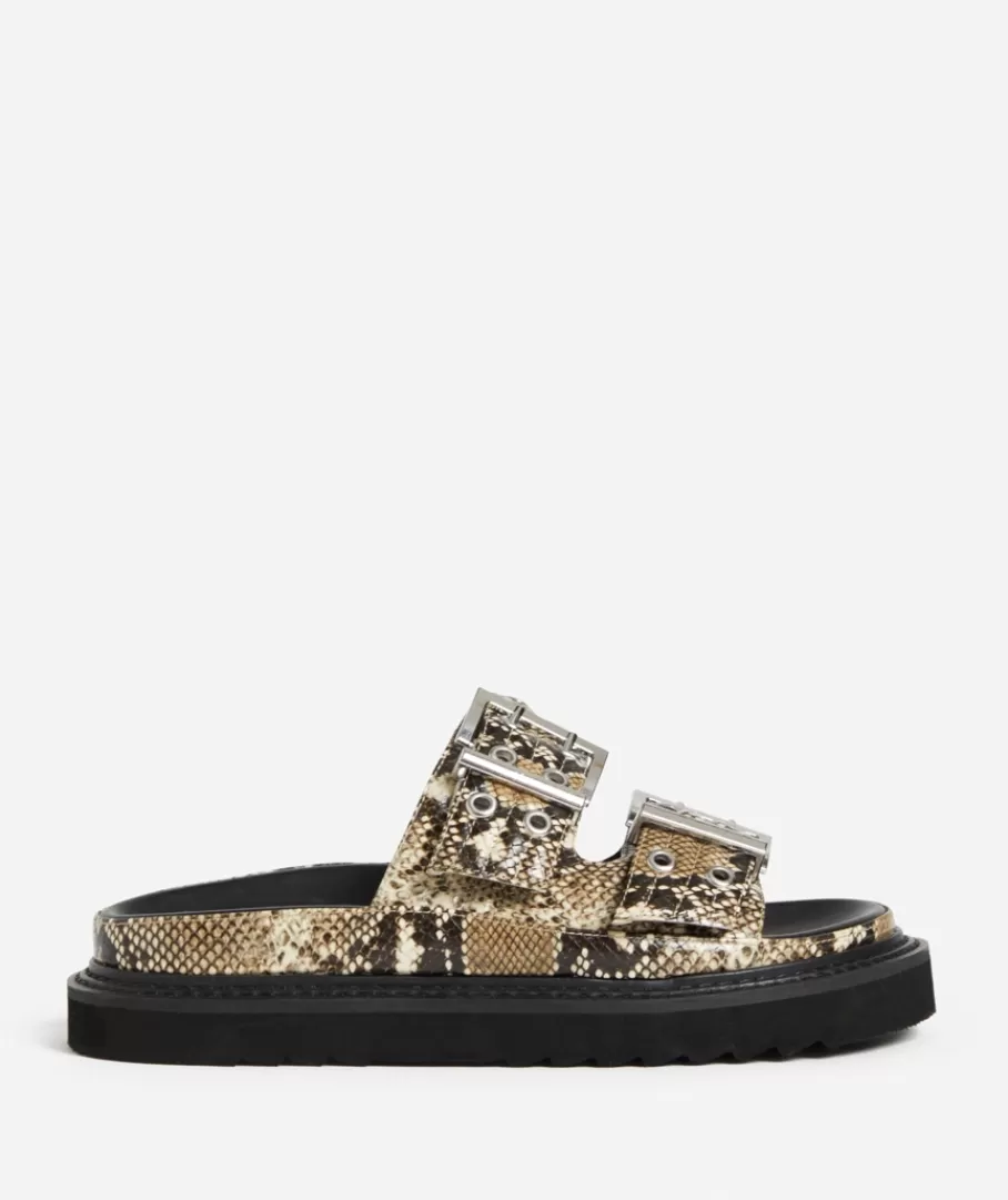 Sportsgirl Shoes | Slides & Sandals<LIA SNAKE BUCKLE SANDAL